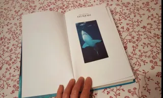 Libro nuovo