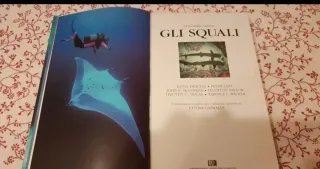 Libro nuovo