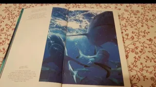 Libro nuovo
