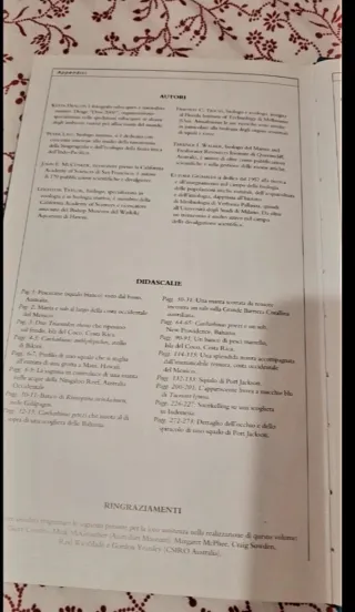 Libro nuovo
