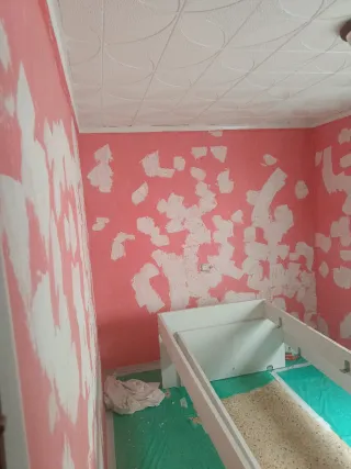 Servicios de pintura profesional