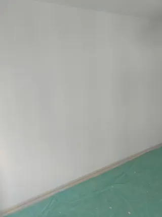 Servicios de pintura profesional