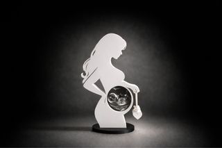 Soporte Decorativo para Ecografía