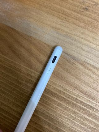 Stylus Pencil iPad per iPad 2018 e successivi