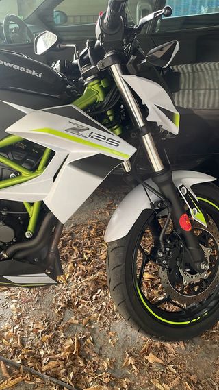 Kawasaki Z125 Naked Verde/Blanco
