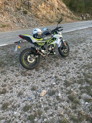 Kawasaki Z125 Naked Verde/Blanco