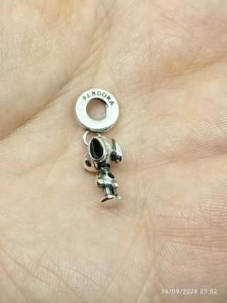 CHARM DISNEY DAMA Y VAGABUNDO