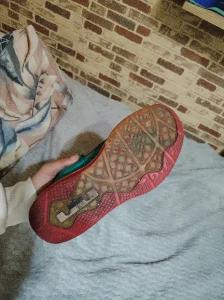 Nike LeBron y Air Max TN Plus Talla 42