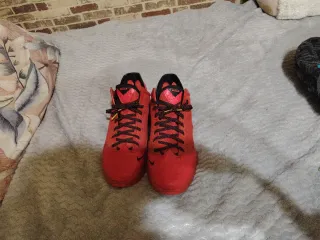 Nike LeBron y Air Max TN Plus Talla 42