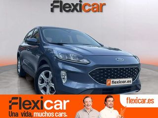 Ford Kuga Trend 1.5 EcoBlue 88kW (120CV)