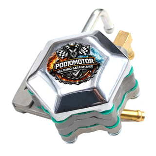 Bomba de Combustible para Yamaha Virago V-Star