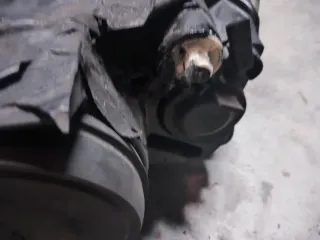 Faros delanteros Passat B6