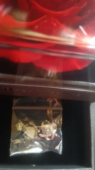 Rosa roja preservada con joyero y colgante