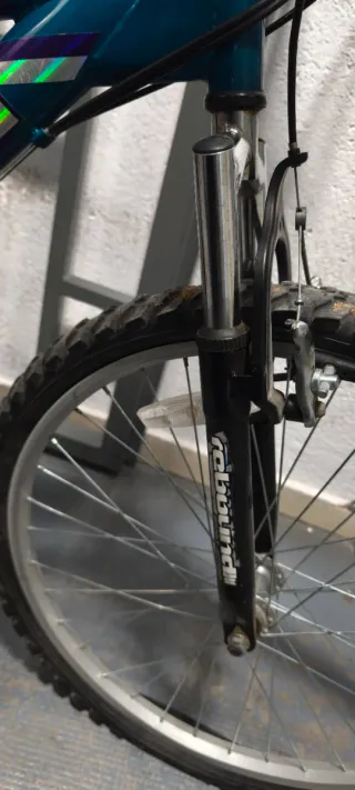 Bicicleta Magna Excitor