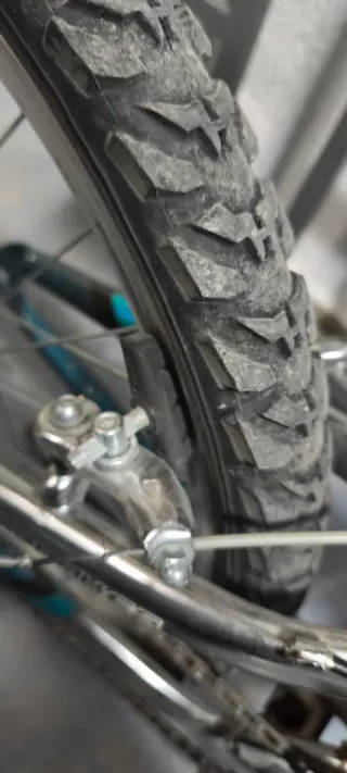 Bicicleta Magna Excitor