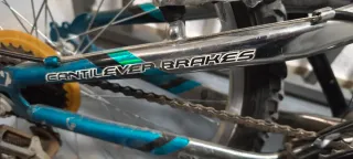 Bicicleta Magna Excitor