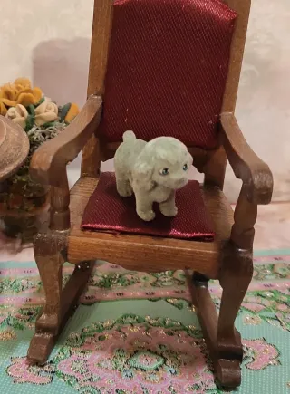 Miniatura cane barboncino floccato