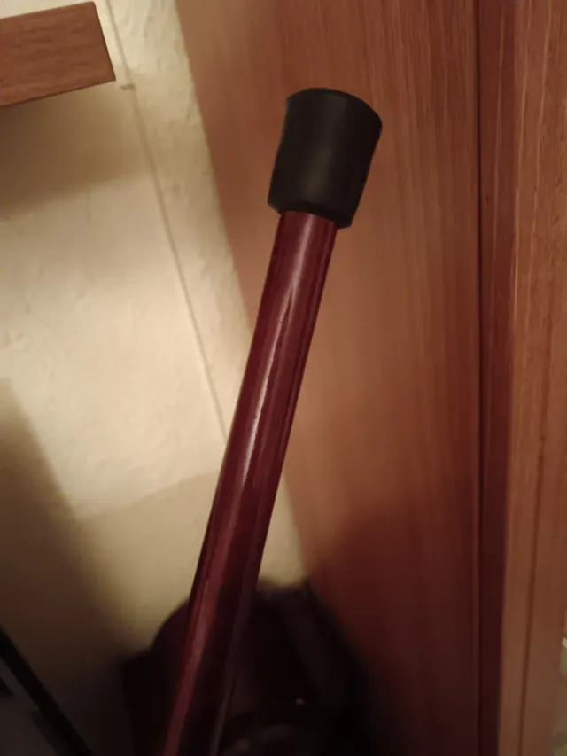 Bastón pomo de bronce