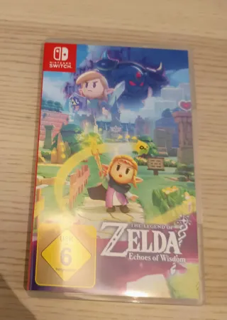 Zelda Echoes of Wisdom Nintendo Switch