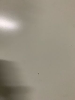 Tavolo Ikea Ingatorp Bianco