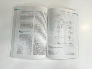 La Columna Cervical. T1: Principios anatómicos ...
