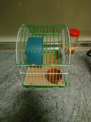 Jaula para hámster con accesorios