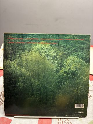 Vinilo La Dama Se Esconde - De Colores Tu Color