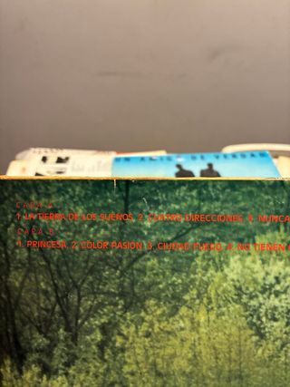 Vinilo La Dama Se Esconde - De Colores Tu Color