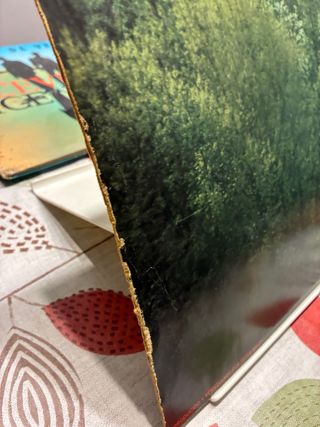 Vinilo La Dama Se Esconde - De Colores Tu Color