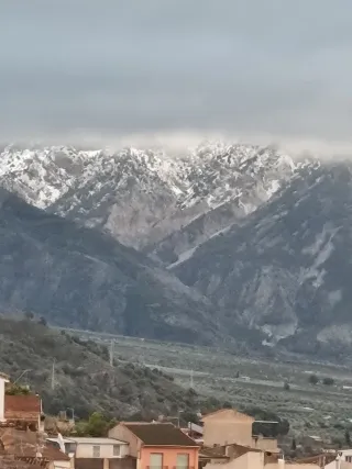 Pintor y limpieza general