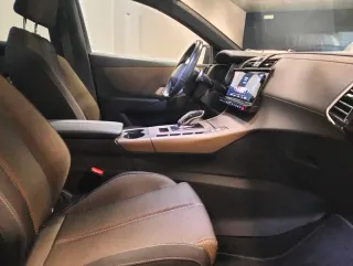 DS DS 7 CROSSBACK 2020