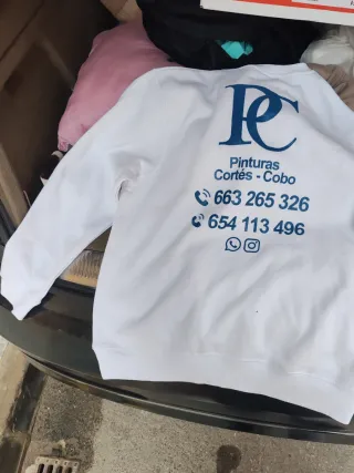 Se busca oficial de pintura