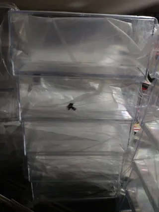 Envío Cajas Urna Expositora Nuevas