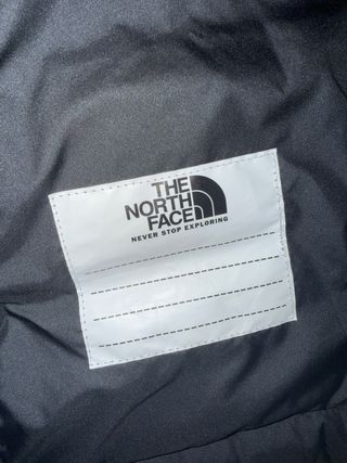 The North Face Chaqueta Gris con Capucha