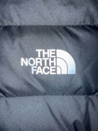 The North Face Chaqueta Gris con Capucha