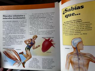 Libros El cuerpo humano - Colección completa