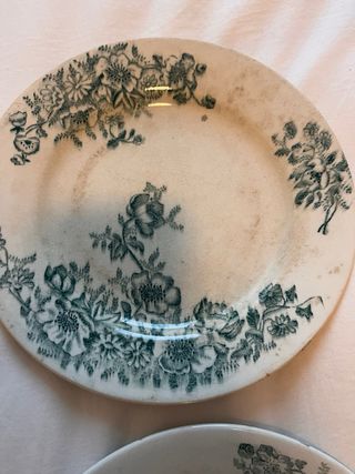 Dos platos llanos  Terre de Fer “Anemones”