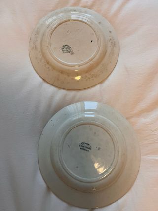 Dos platos llanos  Terre de Fer “Anemones”