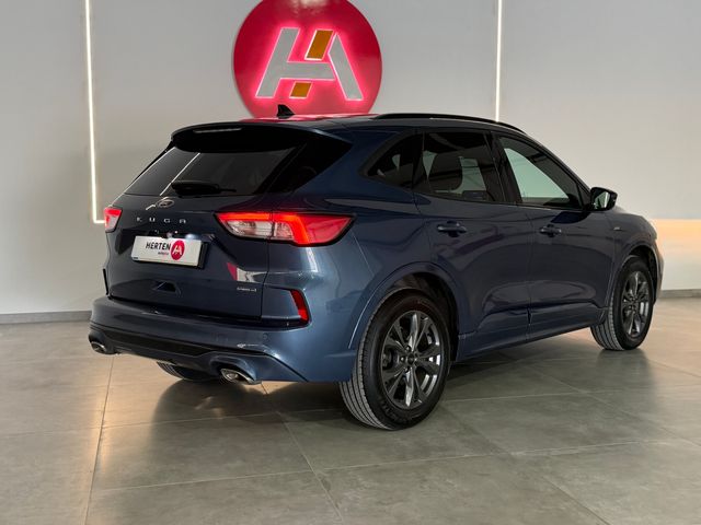 FORD Kuga STLine 2.5 Duratec FHEV 4x4 Auto