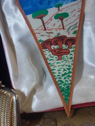 Banderín Sant Boi de Lluçanès Años 60