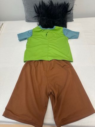 Disfraz Trolls Branch 4/5 años