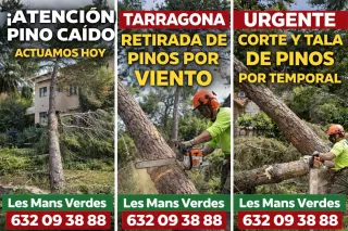 Servicios de Jardinería Profesional