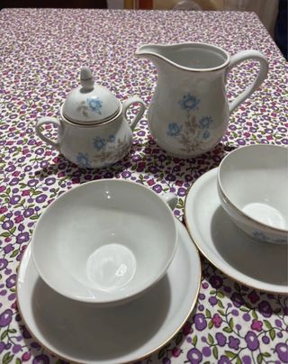Juego de té Santa Clara porcelana floral