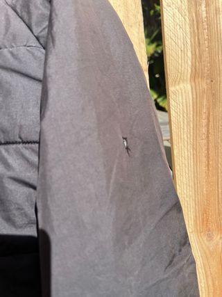 Chaqueta The North Face gris Talla 10-11 años