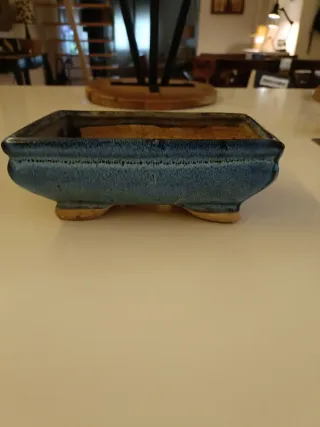 Macetas para bonsáis.