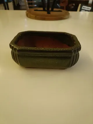 Macetas para bonsáis.