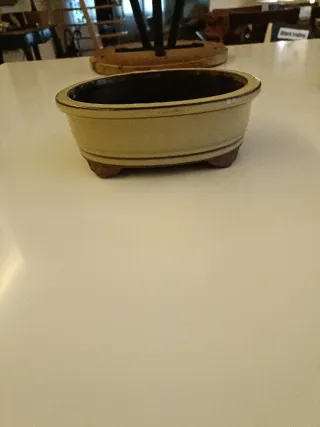 Macetas para bonsáis.