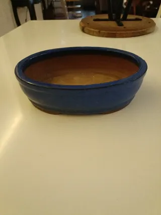 Macetas para bonsáis.