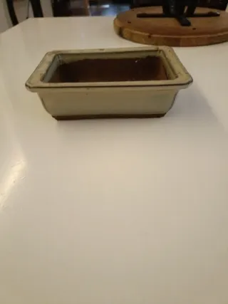 Macetas para bonsáis.