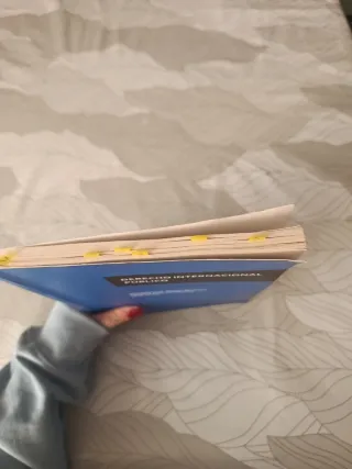 Derecho Internacional Público: Síntesis de teor...